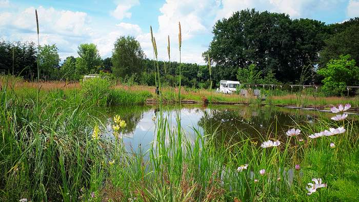 Mini-camping Hoeve Boord Ven